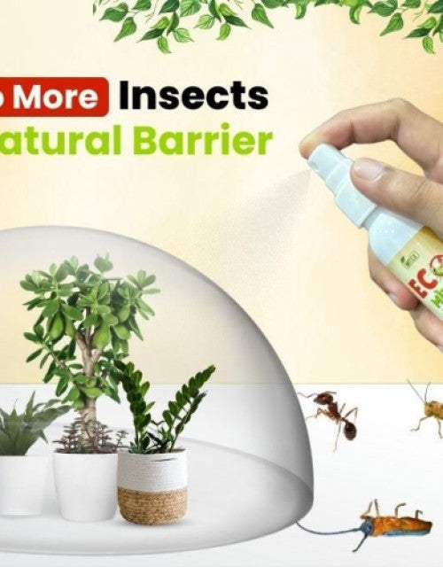 Mitex™ Eco Mite Natural Spray - Say Goodbye to Insects! (Pack of 2) 🐀🦎